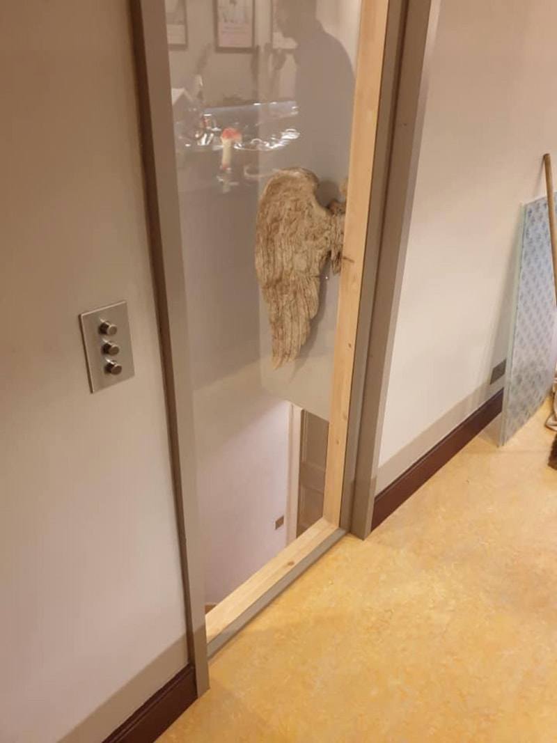 F5578cec f8d2 423d a3ff 814fc7054fd6